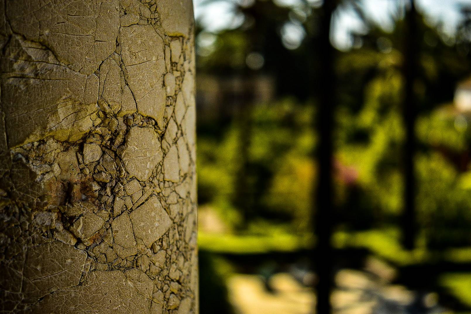 Close up shot of focus on royal alcazar cracked beam with unfocused royal alcazar in background